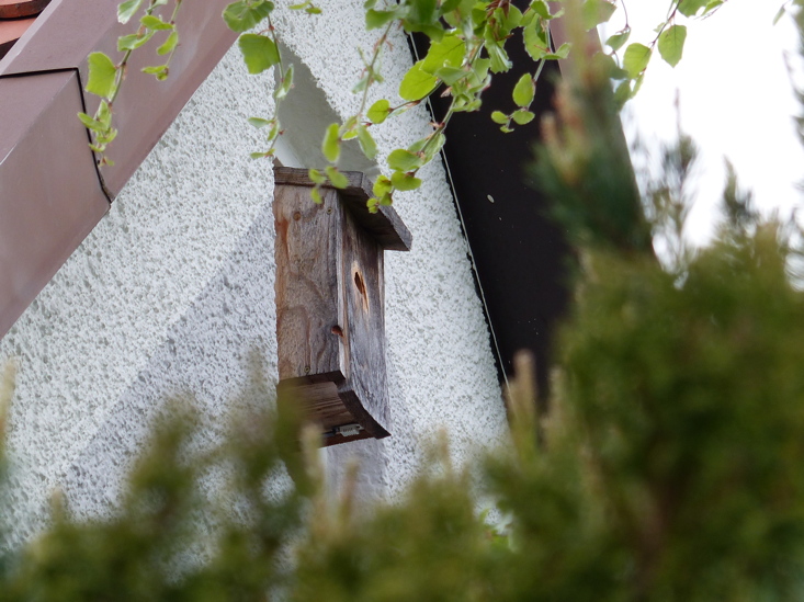 Nistkasten von au&szlig;en